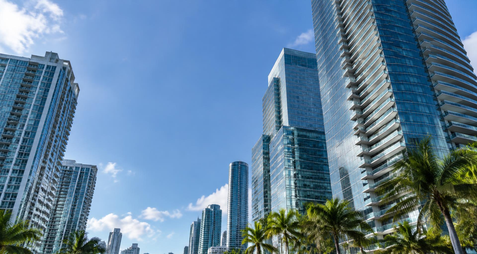Edificios y palmeras del distrito de Brickell, Miami